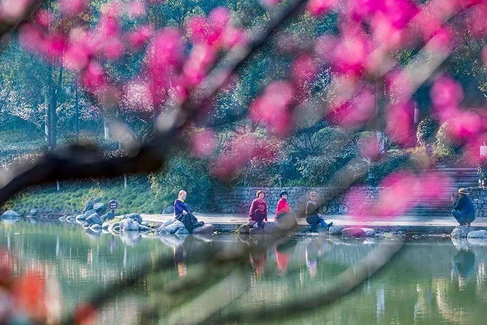 相亲时，要跟相亲对象坦白自己有同居史吗？游戏画面